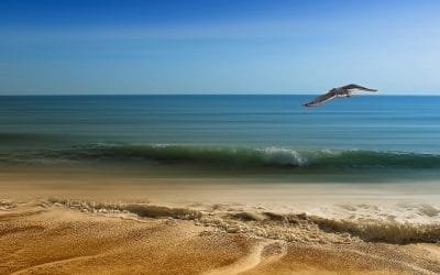 Un Jour, un Geste : Penser à quelque chose qu’on aime et voir comment l’apporter chez nous
